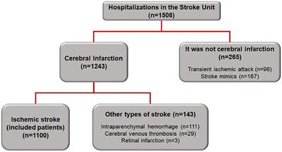 The Role of Transthoracic Echocardiography in the Evaluation of Patients With Ischemic Stroke